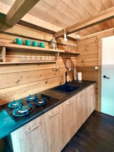 RybczyznaChata Chochlika的小屋内的厨房配有炉灶和水槽 更多40张照片