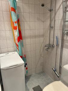 Bilik mandi di Cozy studio in the center of Helsinki