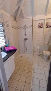 a bathroom with a shower and a toilet at TI-MANGO 1km de la plage communale quartier résidentiel in Sainte-Anne