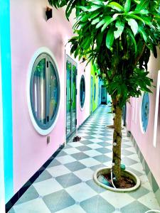 Fotografie z fotogalerie ubytování Thao's House v destinaci Ấp Tân Bình (2)