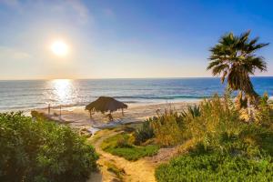 - une plage avec un palmier et l'océan dans l'établissement Surf Shack 5, à San Diego