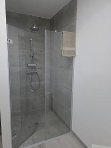 a shower with a glass door in a bathroom at Panorama trifft Gemütlichkeit in Nümbrecht +12 photos