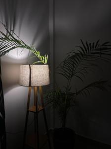 Φωτογραφία από το άλμπουμ του Oak & olive homestay σε Tezpur