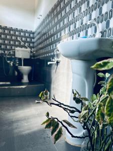 Φωτογραφία από το άλμπουμ του Oak & olive homestay σε Tezpur