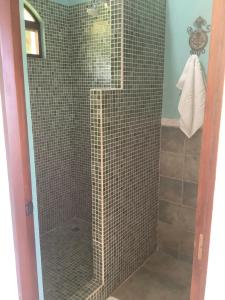 a shower with a glass door in a bathroom at PRIVATE SPACE Just you and the Birds with PRIVATE INFINITY POOL in Uvita +45 photos