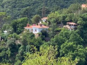 ein Haus mitten im Wald in der Unterkunft Alquiler en La Quebrada Rio Ceballos Córdoba in Río Ceballos