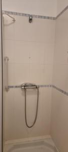 a shower with a hose in a bathroom at La Kaz Bellepierre in Saint-Denis