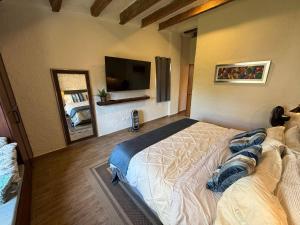 a bedroom with a bed and a flat screen tv at Solange Suite en ValQuirico in Santeagueda