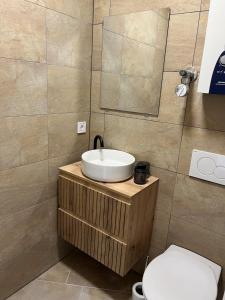 a bathroom with a sink and a toilet at SEEnah Ferienwohnung in Überlingen +2 photos