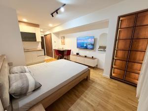 Un dormitorio con una cama y un escritorio. en Apartment UNA, en Pančevo