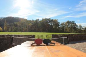 zwei Ping-Pong-Bälle liegen auf einem Tisch in der Unterkunft Casa Rural Mikelenea in Lecároz + 3 Fotos