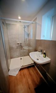 a bathroom with a shower and a sink at alte Bäckerei Ottendorf-Okrilla #Fritz# in Ottendorf-Okrilla