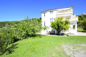 a large white house with a grassy yard at Apartments Rasic in Palit