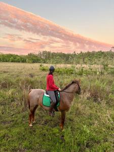 Estancia Estrella في Trinidad: شخص يركب جواد في الميدان