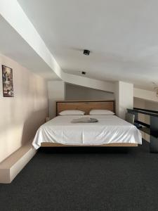 a bedroom with a large white bed in a room at Modern Duplex Loft in Skopje City Center with 3 Bedrooms in Skopje