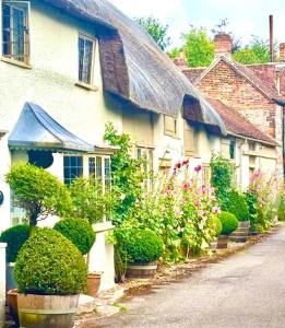 a house with a bunch of plants in front of it at The Swallows Rest, Avebury in Avebury