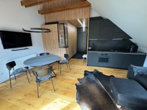 Et tv og/eller underholdning på Apartment Kranjska Gora Diamond