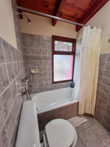 a bathroom with a toilet and a bath tub at Casa Pier Giorgio Bella Vista in El Chalten