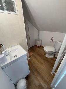 a white bathroom with a toilet and a sink at Le petit cocon in Vierzon +7 photos