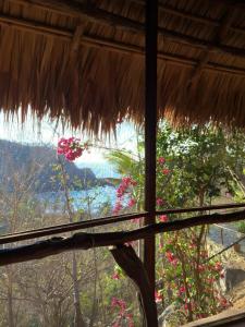 Φυσικό τοπίο κοντά σε αυτό το διαμέρισμα +10 φωτογραφίες