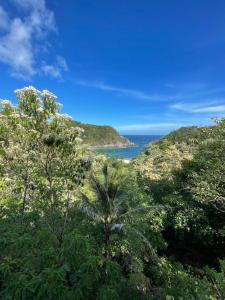 a view of the ocean from a hill with trees at Flor de Arena in Arroyo Cruz
