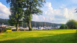 Φυσικό τοπίο κοντά σε αυτό το διαμέρισμα