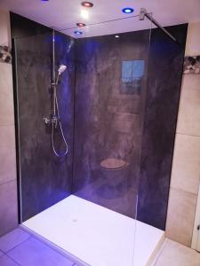 Un baño con ducha y un inodoro. en KUNTERBUNT am Wallersee, en Seekirchen am Wallersee