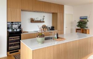 - une cuisine avec un comptoir et un évier dans l'établissement Stunning Home In Børkop With House Sea View, à Hvidbjerg