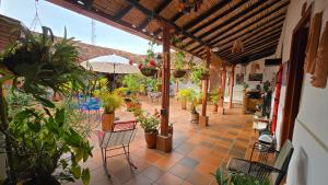 an outdoor patio with potted plants and an umbrella at La Casona Espacio Bonito in Zapatoca
