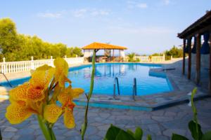 Πισίνα στο ή κοντά στο El Paraiso