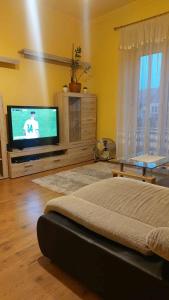 - un salon avec une télévision à écran plat et un lit dans l'établissement Piac Kuckó Apartman, à Debrecen