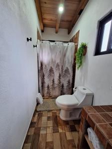 a bathroom with a toilet and a shower curtain at Casa Elizabeth en valle de Bravo,Avandaro in Godínez