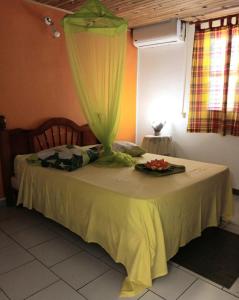 a bedroom with a bed with a green curtain on it at Charmant T2 climatisé avec terrasse, à 5 mn des belles plages de Ste Anne in Sainte-Anne