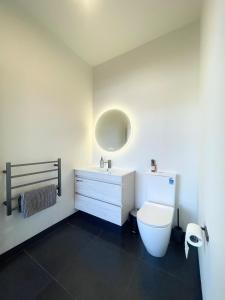 Un baño con inodoro, lavabo y espejo. en Love Our Loft, en Napier
