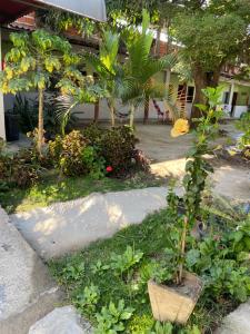a small tree in a pot in a garden at Pousada Tropical in Aparecida +10 photos
