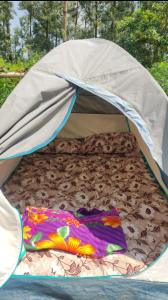 Fotografie z fotogalerie ubytování Pickurstay vbss camping hub v destinaci Pāderu