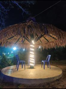 Zahrada ubytování Pickurstay vbss camping hub