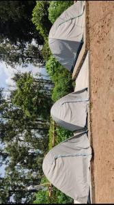 Fotografie z fotogalerie ubytování Pickurstay vbss camping hub v destinaci Pāderu