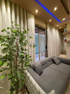 a living room with a couch and a plant at pyramids in ‘Ezbet `Abd el-Ḥamîd