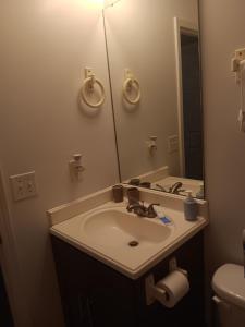 un baño con lavabo y espejo en Be Our Guest, en Charlotte 1 foto más