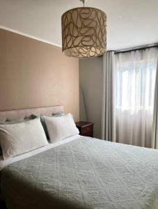 a bedroom with a bed and a pendant light at Hostal Abrazo de Maipu in Santiago