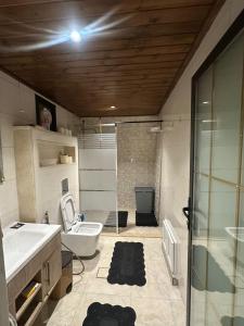une salle de bain avec un lavabo, des toilettes et une douche dans l'établissement Umm Aljulud Cottages, à Ajloun