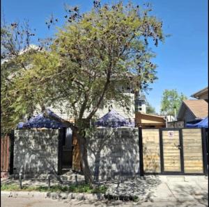 a tree in front of a stone wall at Hostal Abrazo de Maipu in Santiago