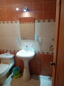 une salle de bain avec un lavabo, des toilettes et un miroir dans l'établissement Cabaña del bosque, à San Cristóbal de Las Casas