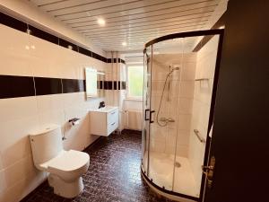 Un baño con inodoro y ducha de cristal. en La Suite Mulhouse, en Mulhouse 34 fotos más