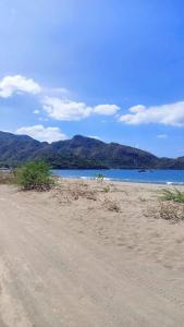 Příroda nedaleko rezortu