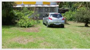 Un coche blanco aparcado en un patio junto a un edificio. en Nature Lodge in Portland, en Port Antonio