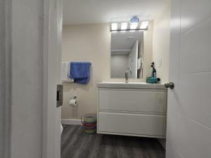 a bathroom with a sink and a mirror at Stormwater Haven in Winnipeg +69 photos