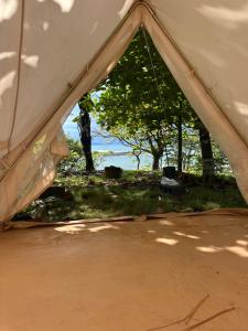 Tienda de campaña con vistas a un campo y a los árboles en Amparito Camp, en Santa Catalina