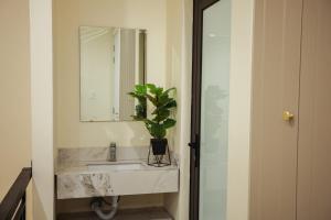 ein Badezimmer mit Waschbecken, Spiegel und Topfpflanze in der Unterkunft M&M homestay in Quang Tri + 30 Fotos